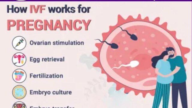 mother ivf hospt